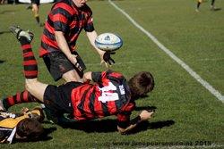 4f - Lincoln Div 11 vs Kirwee NZ
