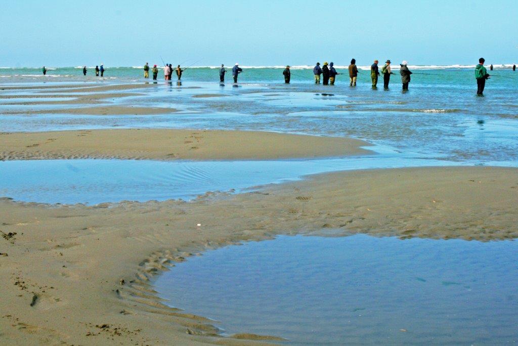1e - Waimakariri River Mouth NZ