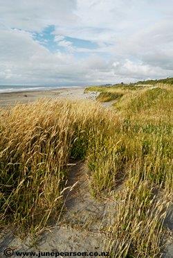 1h - Hokitika Beach Sandhills - NZ