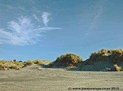 2c - Waikuku NZ sand Dunes