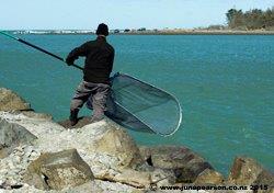 2f -  Whitebaiter, Waimakariri River Mouth NZ - Copy