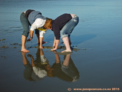 3d - Competition mirrored