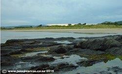 3f - Ross Coastline Westland NZ