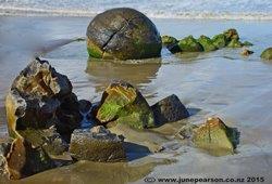 3h - Maeraki Bolders, NZ - Broken Pieces