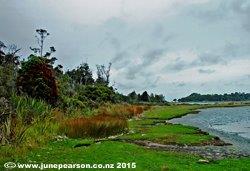 4c - Pounawea Coastline, Catlins, NZ