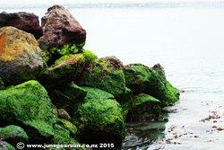 4e - Naval Point, Lyttelton NZ