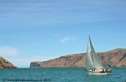 4g  -  Akaroa Harbour,  Banks Peninsula,  NZ
