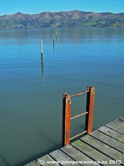 4h - Walk across the harbour, Akaroa NZ.