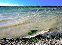 5a - Redcliffs,  NZ -  white caps and wind_