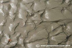 5b - Sand Patterns - Waimakariri River Mouth, NZ