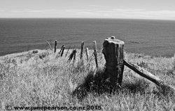 5e - Post  Magnet Bay, Banks Peninsula NZ