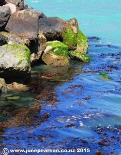 5gg- Lots of colour in the Harbour - Lytteton NZ