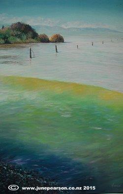 7a - Oil - Lake Ellesmere  NZ Drain Road (1)