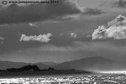 7a - Oil - Lake Ellesmere  NZ Drain Road (2)