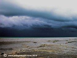 7a - Oil - Lake Ellesmere  NZ Drain Road (4)