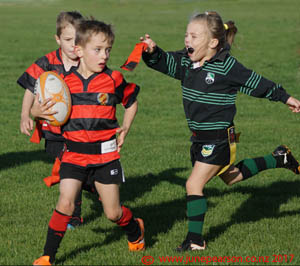 1a - Lincoln Rugby club day NZ