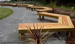  Community Garden Macrocarpa seating CHCH NZ